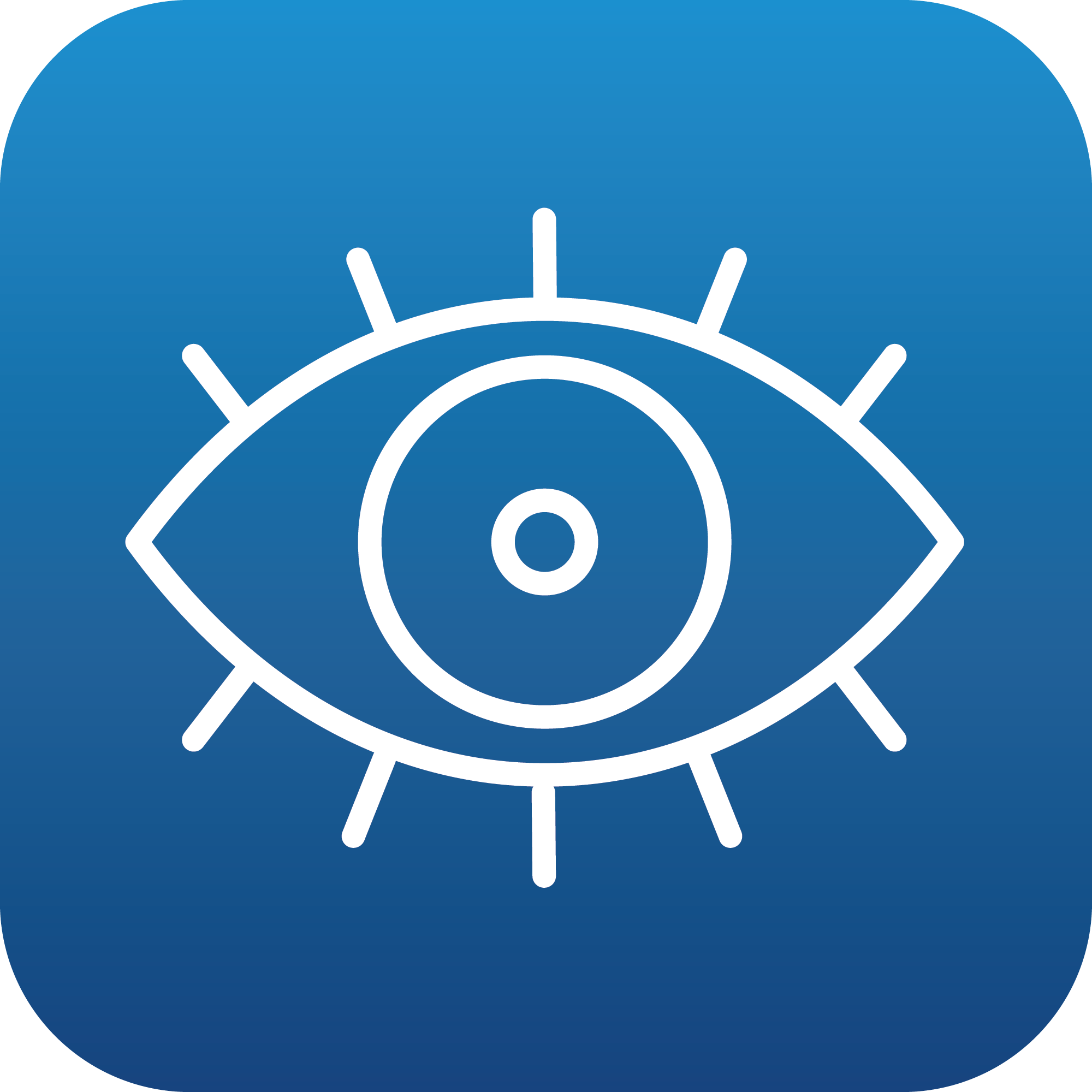 Icon of an eye