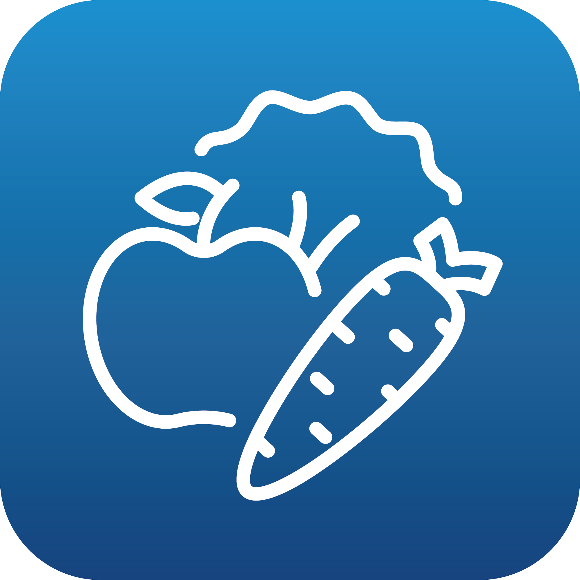 Flat icon of fruits and vegetables