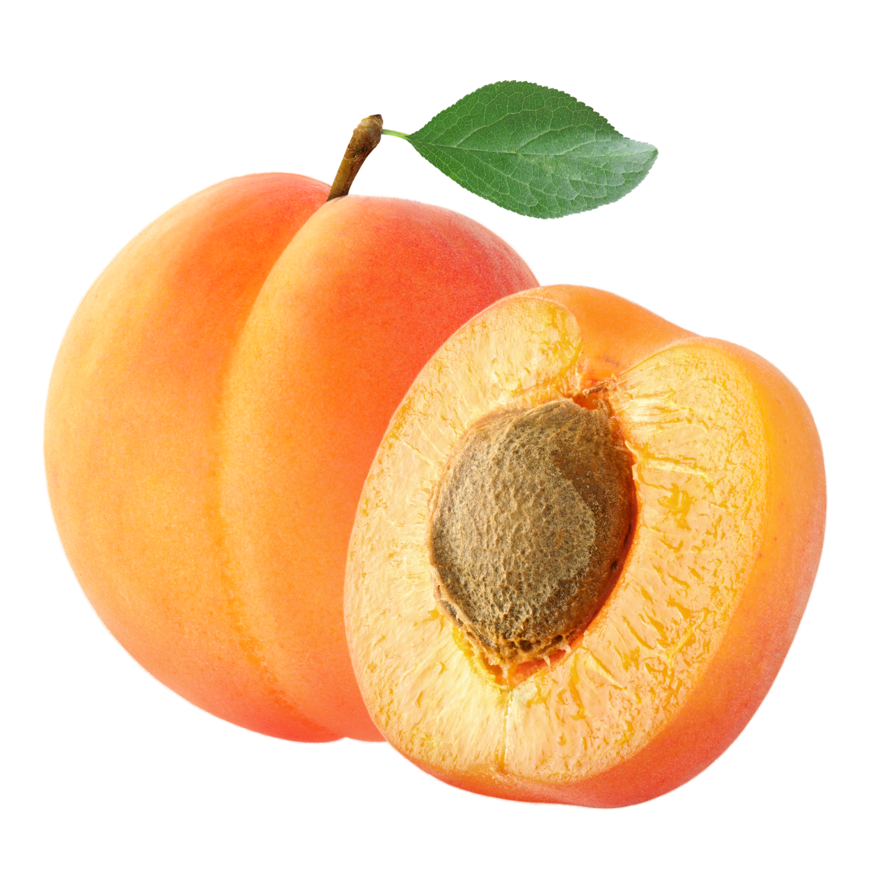 Apricot.png