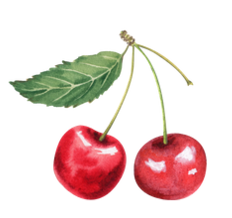 Cherries (002).PNG