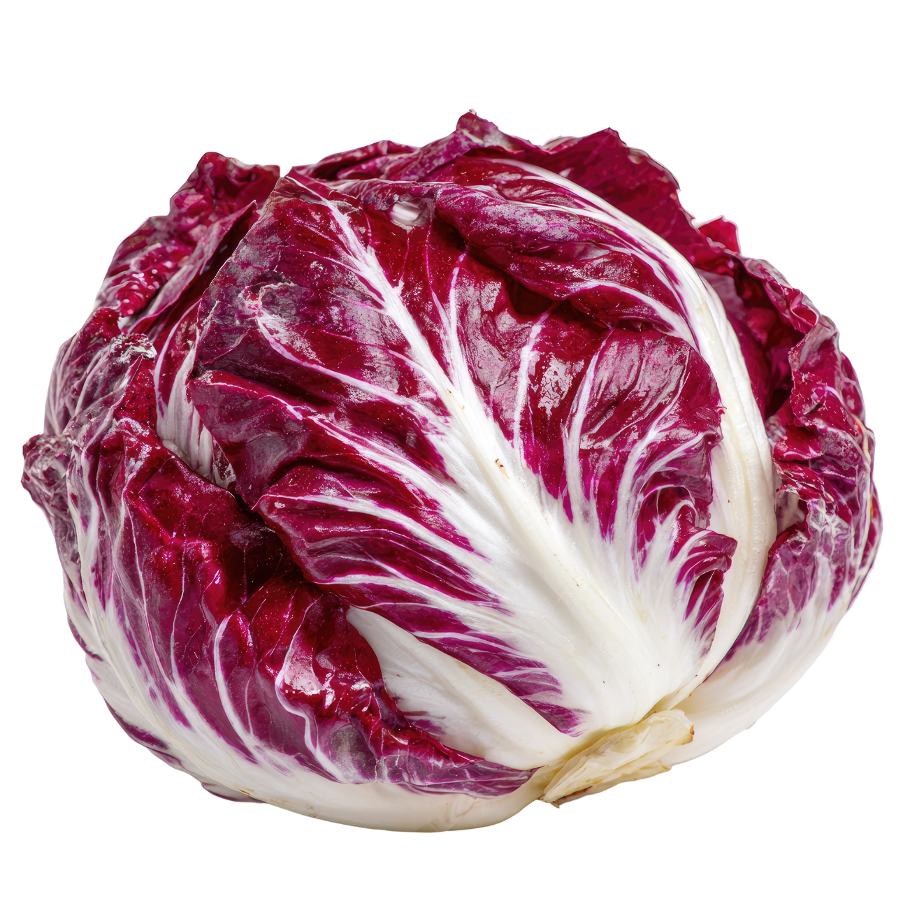 Radicchio.png