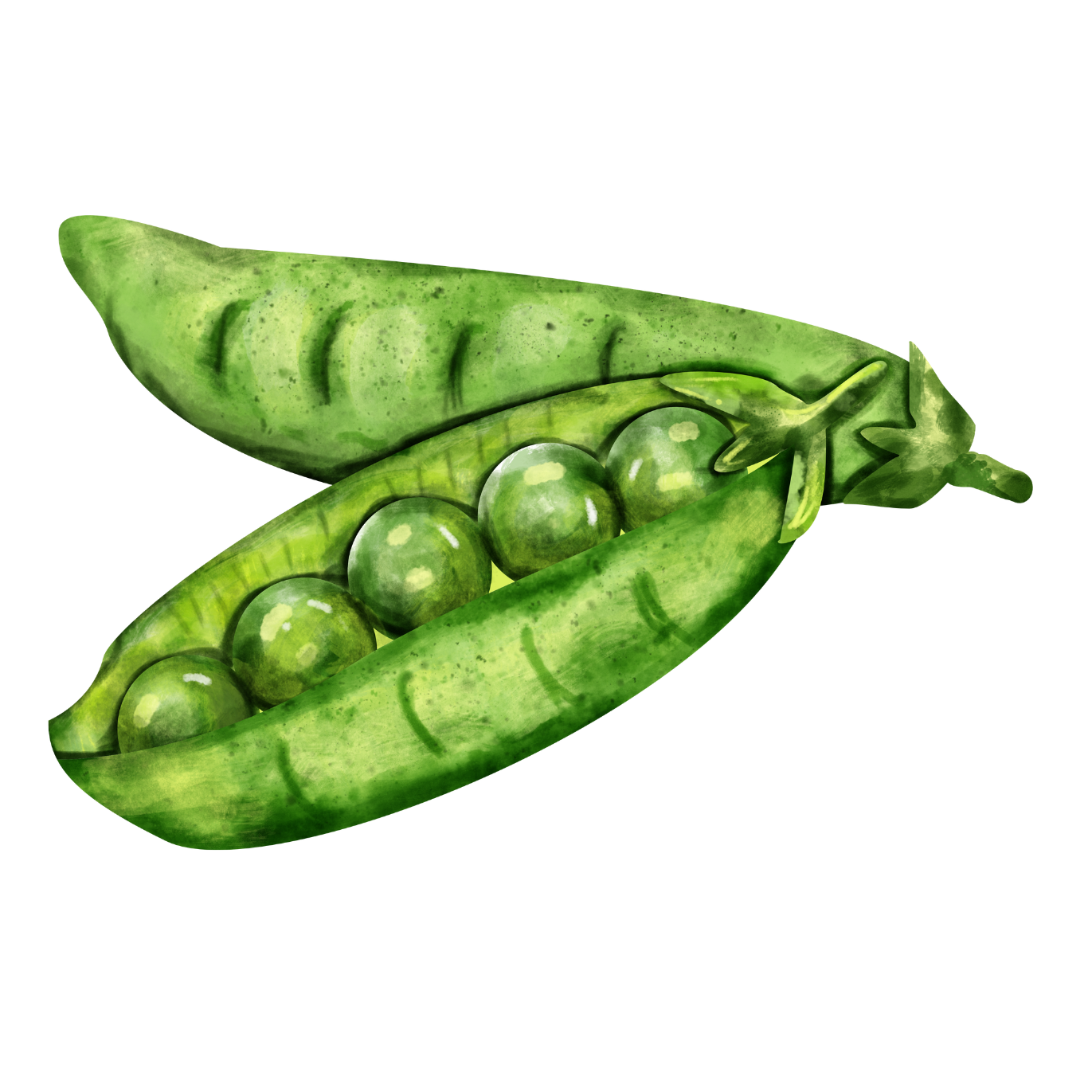 Sugar Snap Peas.png