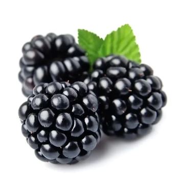 blackberries 2.JPG