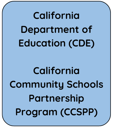 CDE CCSPP.png