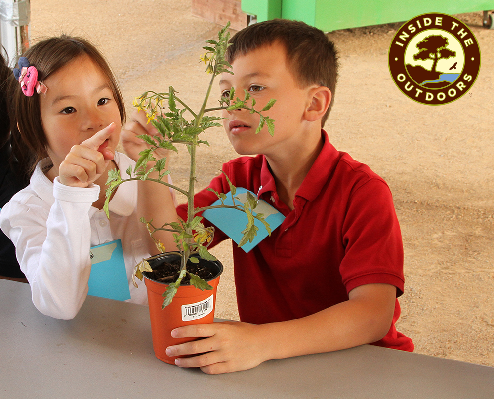 boy and girl looking at a tomato plant Inside the Outdoors logo in corner