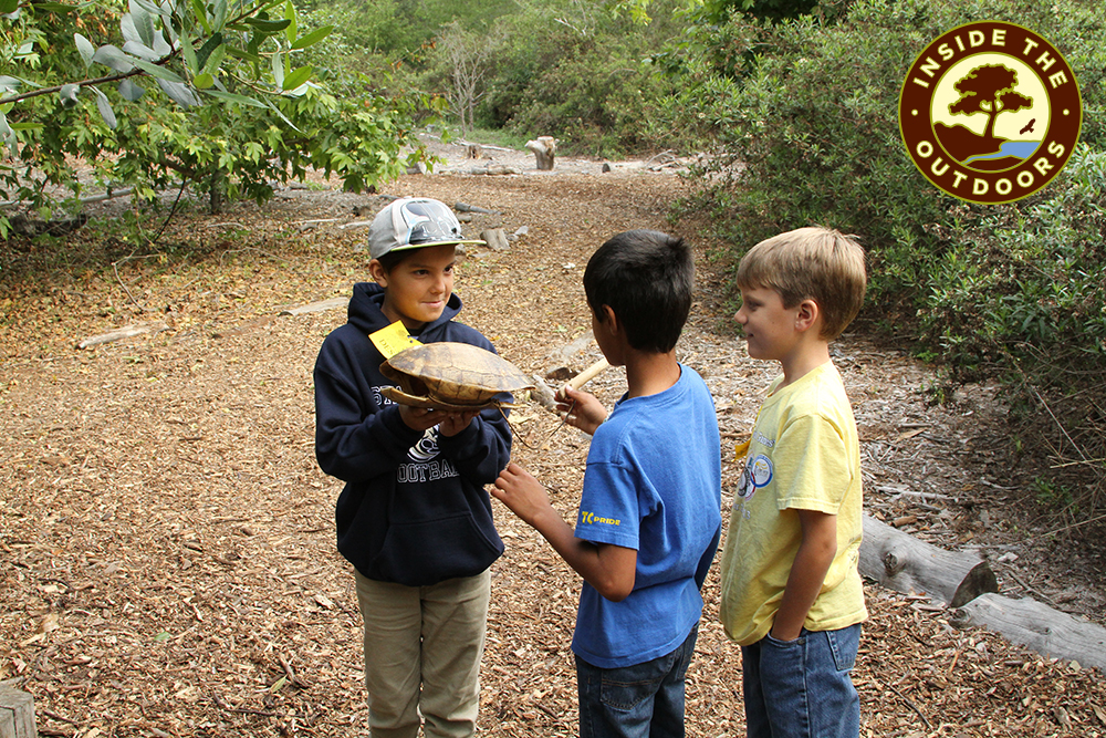 boy showing two other boys a turtle shell on a nature trail Inside the Outdoors logo in corner