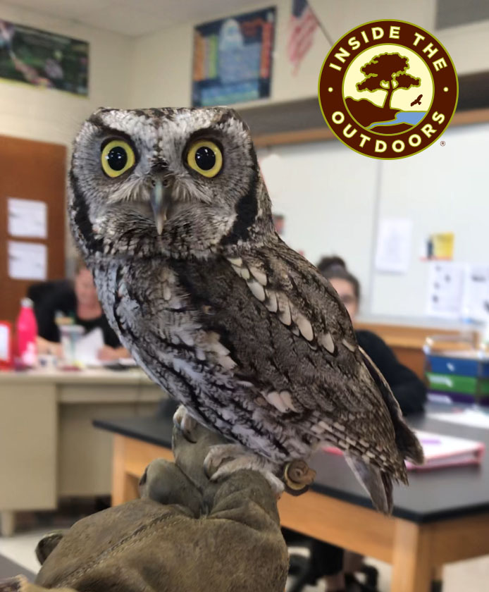 screech owl perched on a glove in a classroom Inside the Outdoors logo