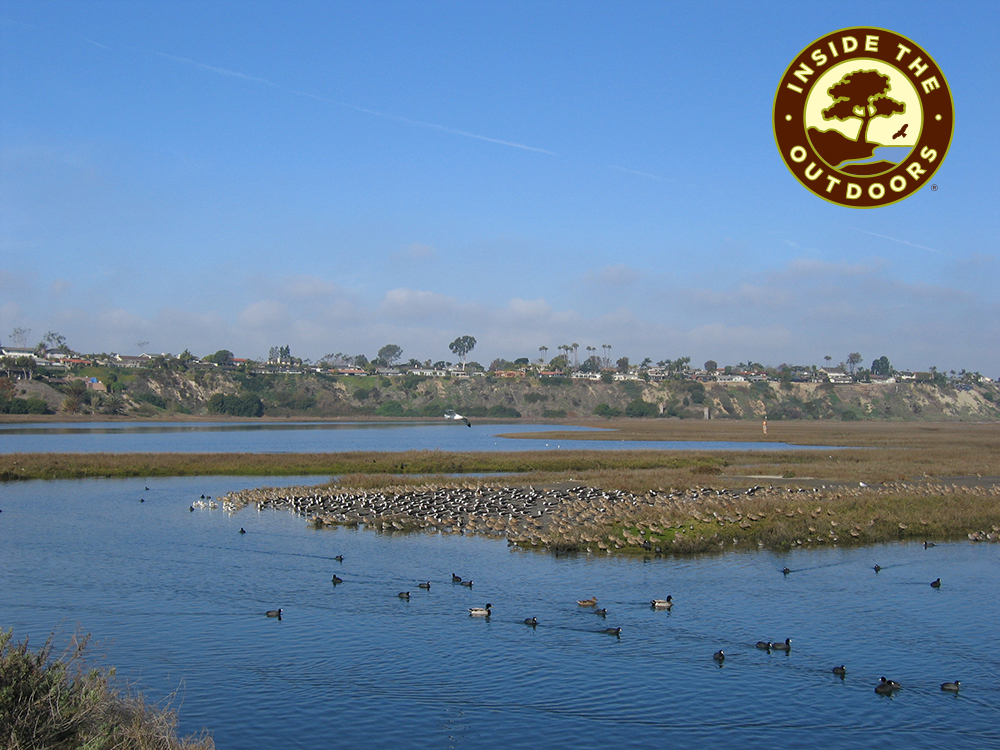 Upper Newport Bay Estuary at high tide birds on shoreline and bluffs in the far background Inside the Outdoor logo in upper righ