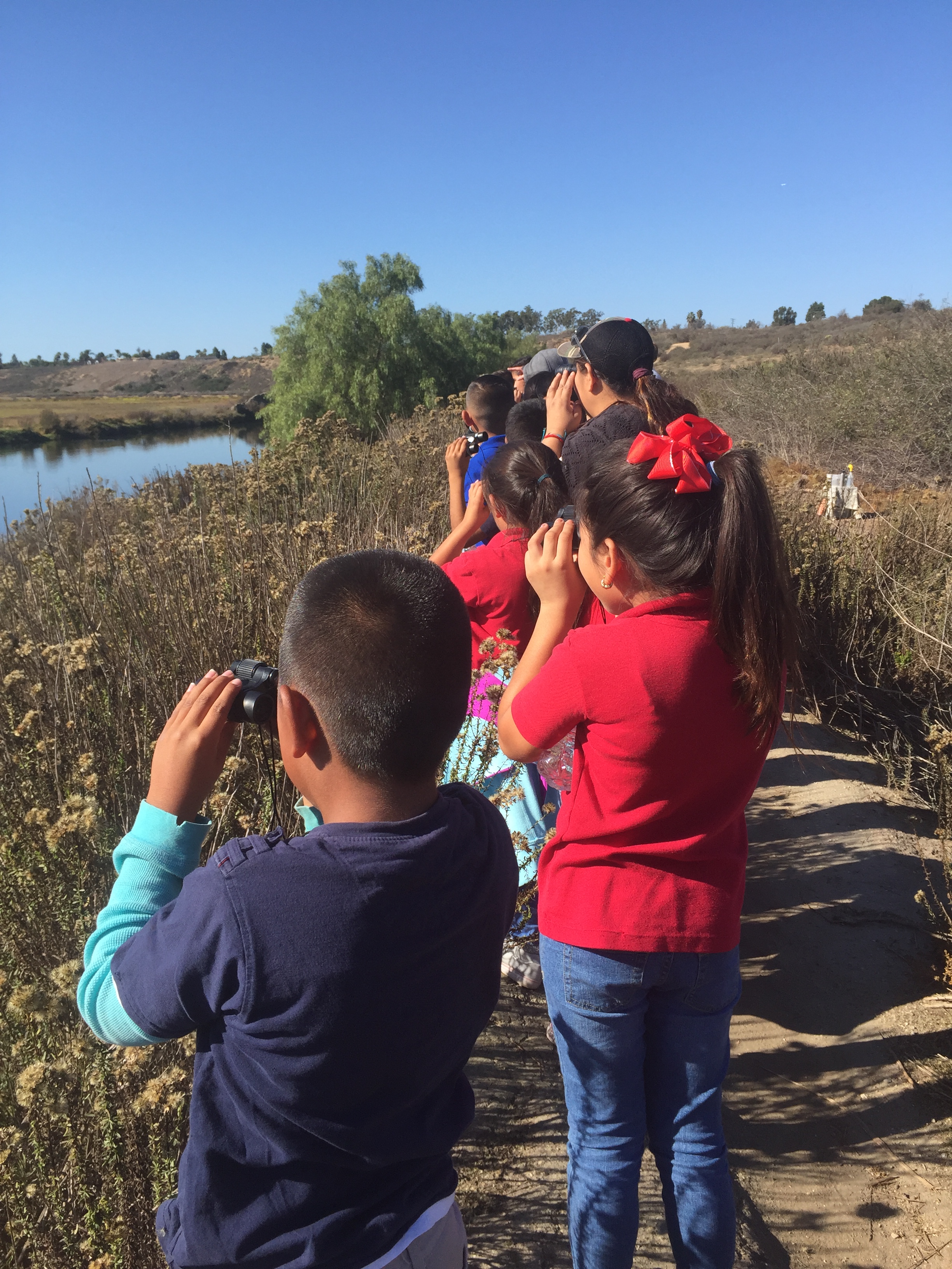 students using binoculars at birds in a wetland